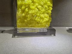 -陕西自然博物馆