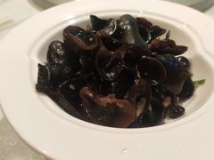 酸辣海木耳-东方明珠老上海8号餐厅(东方明珠广播电视塔店)
