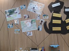 -爱妮康宠物医院·干细胞免疫细胞·肿瘤·心脏(张江店)