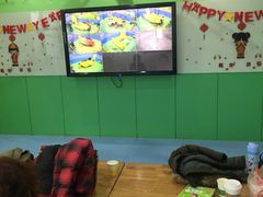 -小问号·科学启蒙·逻辑思维·阅读素养·口才演讲(杨浦合生汇中心)