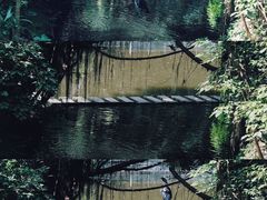 -燕晗山郊野公园