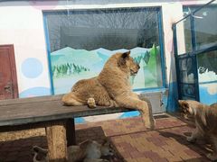 -大连森林动物园