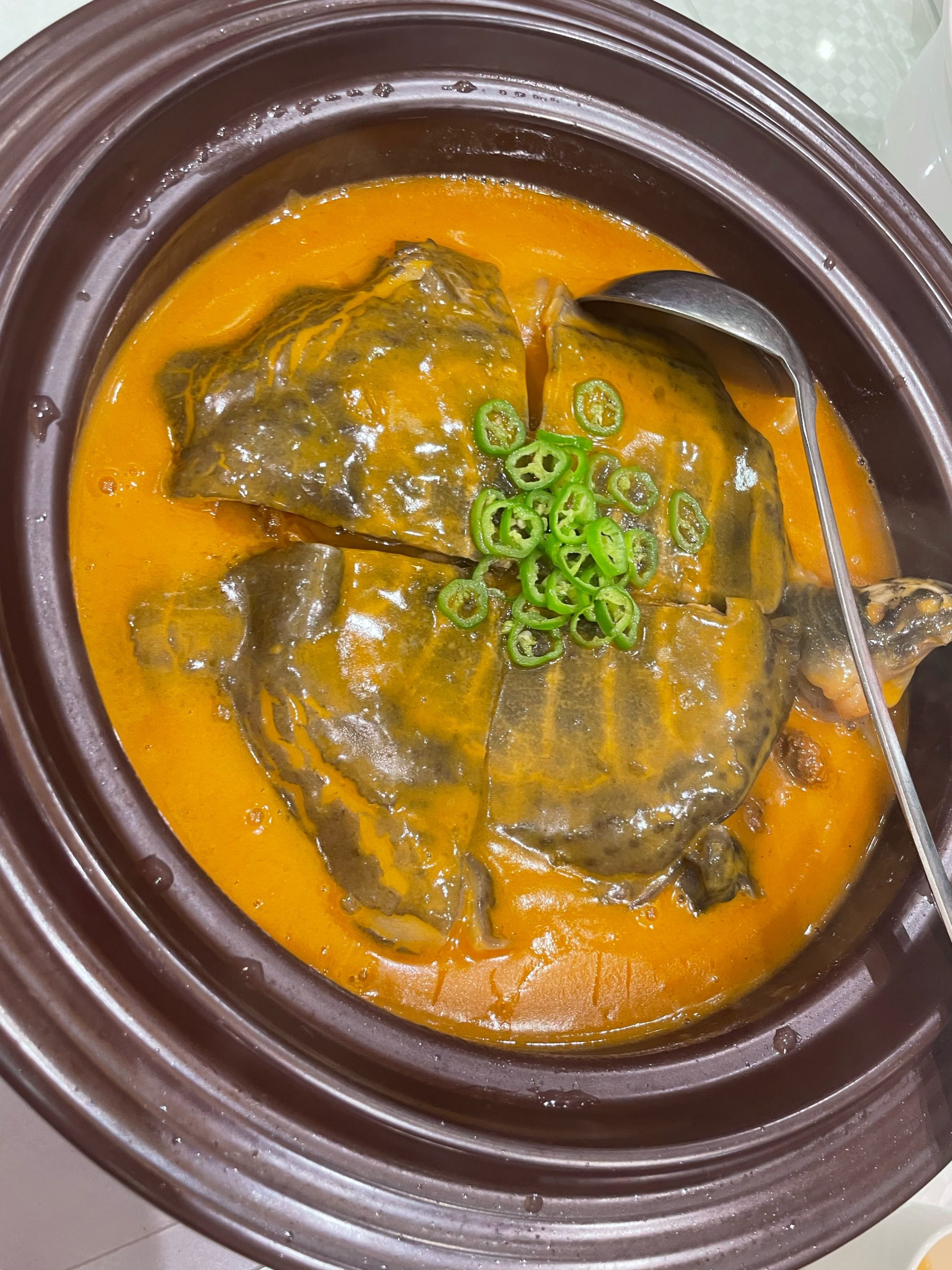 纯正的上海本帮口味,个个菜都爱吃🥰