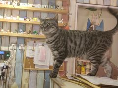 -小时光咖啡馆(开森度假森林店)