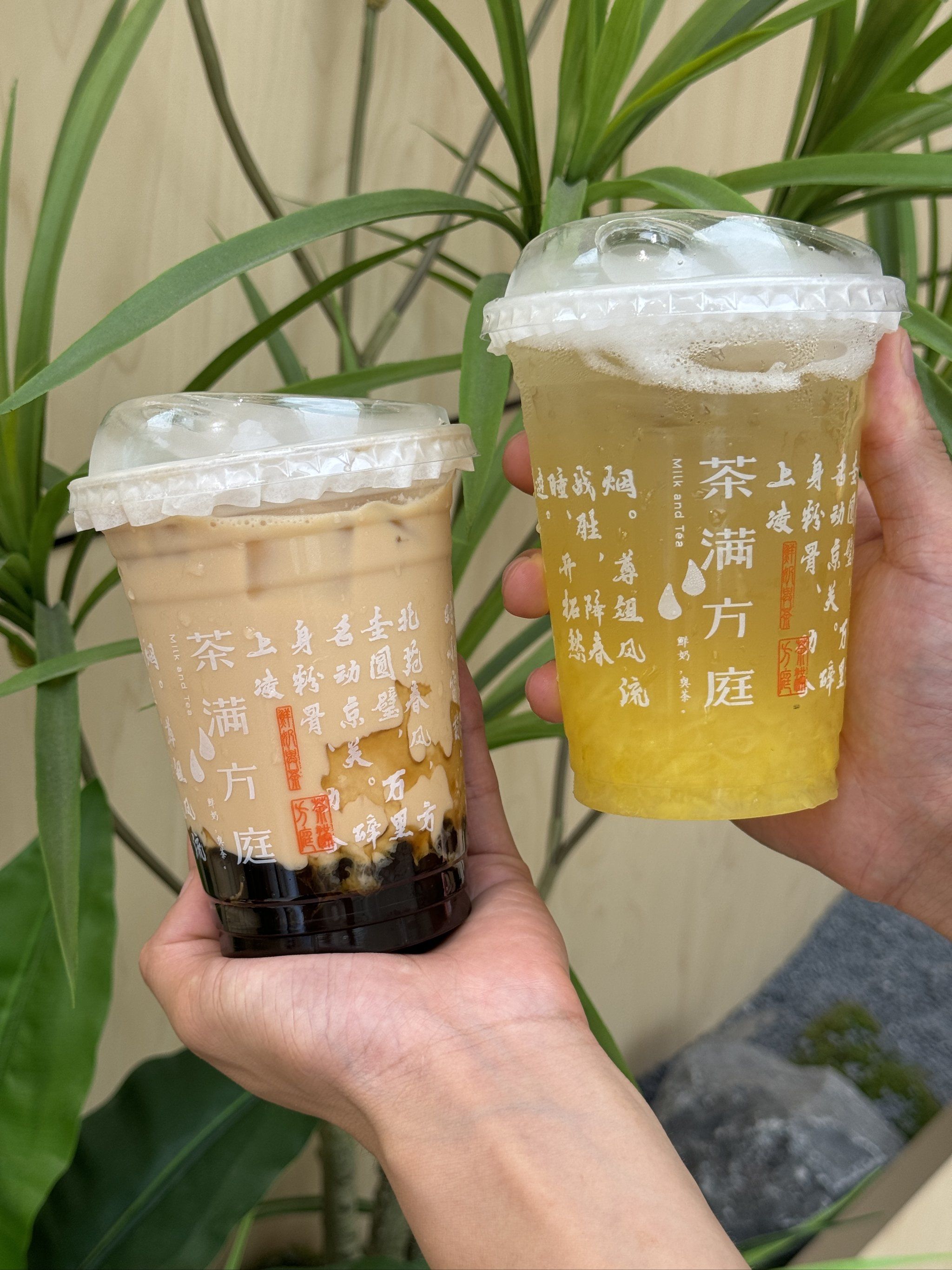 茶满方庭这杯水牛奶🐃黑糖珍珠波霸也太好喝了