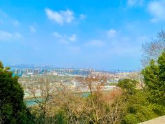 -阅江楼风景区