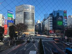 -涩谷区