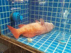 -峙山海鲜馆·花苑店