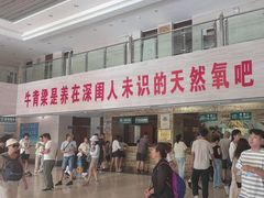 -牛背梁国家森林公园