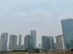 -宝安西湾红树林湿地公园