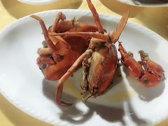 -莲花公园煎蟹(总店)