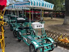 -上海长兴岛郊野公园