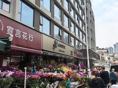 -溪岸路花鸟市场