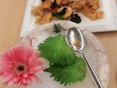 -汤连得温泉馆(宝山店)