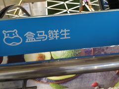 -盒马鲜生(枣园路店)