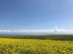 -青海湖国家重点风景名胜区售票处
