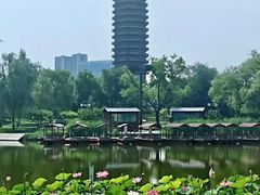 -西海子公园