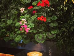 -Seesaw Coffee(环贸iapm店)
