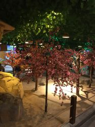 -酷嗒动物文化乐园(cutezoo西溪乐天城店)