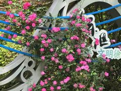 -徐家汇源景区-衡山公园