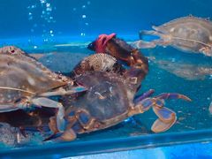 -老虎滩大连海鲜烧烤(建邺云锦路总店)