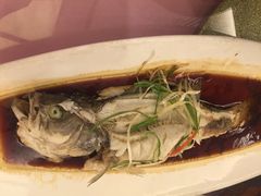 -复旦大学本部-食堂