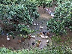 -大屏嶂森林公园