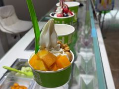-Salud撒露欧洲冻酸奶(北苑上品店)