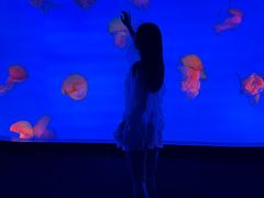 -合肥海洋世界
