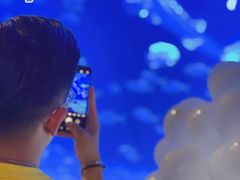 -烟台海昌鲸鲨海洋公园