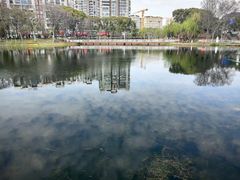-新江湾城公园