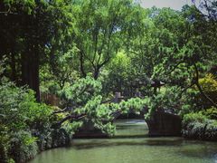 -上海醉白池公园