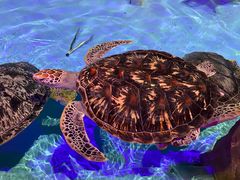 -波塞冬旅游度假区