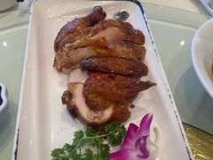 -凯鸽酒楼(大同振兴街店)