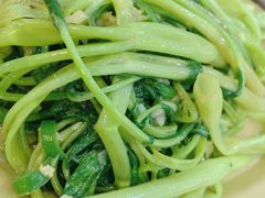 椒丝腐乳通菜-贞姨美食·老字号海鲜大排档