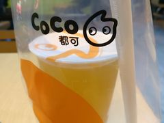 鲜柠檬茶-CoCo都可(东城万达店)