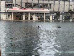 -咖啡苑 - 蔚藍夏日主题(永利皇宫店)