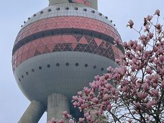 -东方明珠广播电视塔