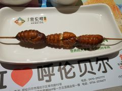-索伦嘎·传统涮(海拉尔总店)