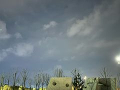 -忠林杀猪菜(凤台小区店)