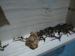 android_upload_pic-益茗阁·品茗·玩壶·赏石