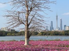 -海珠湖公园
