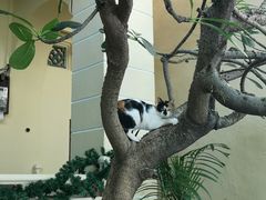 -槟城街头艺术街区