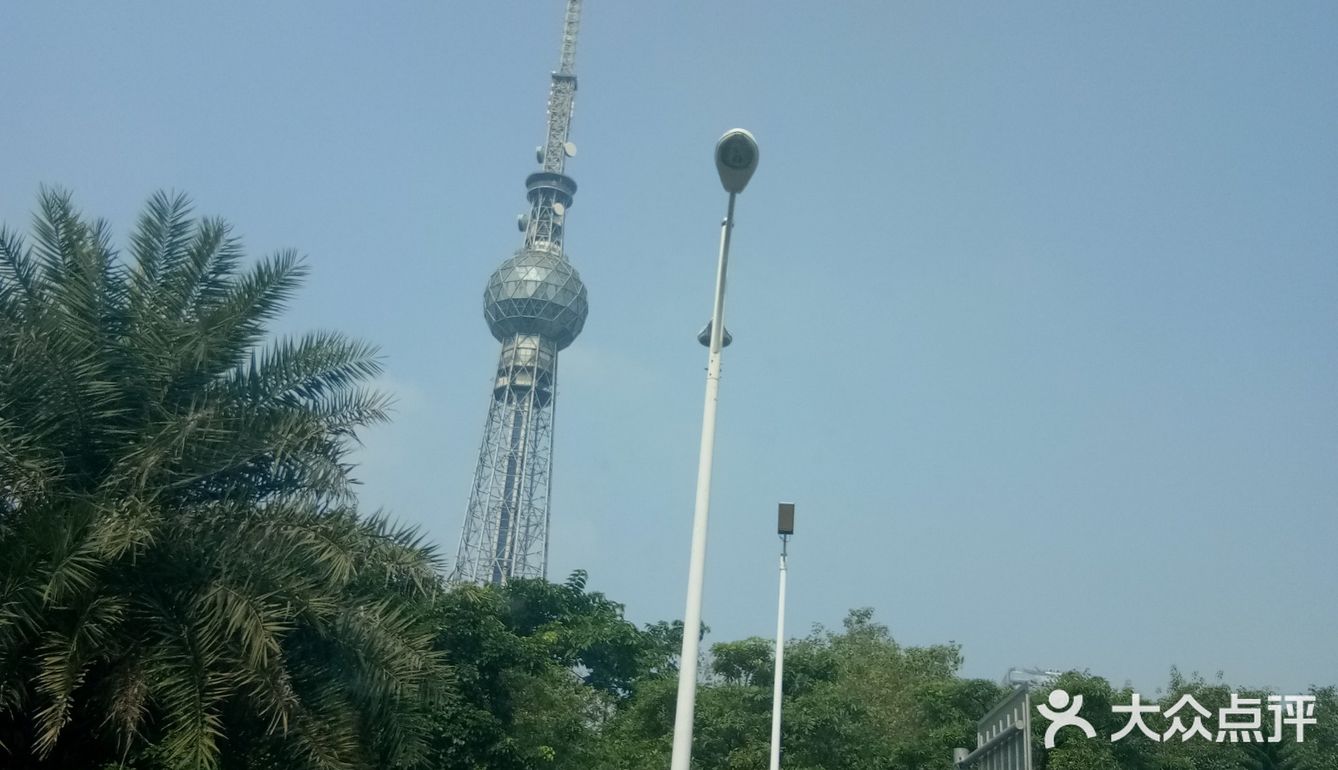 春日出游攻略3  云梯山的黄花铃木开啦