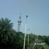 春日出游攻略3  云梯山的黄花铃木开啦