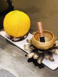 -VELEE·SPA高定疗愈会所