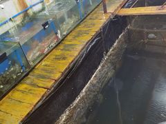 -蓝湾碧波·老字号·疍家非遗海上餐厅