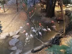 -麒麟中餐厅·经典粤菜·地道菜式老字号(广州长隆酒店)