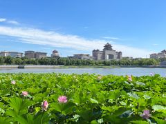 -莲花池公园