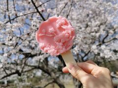 -北京植物园南门售票处